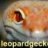 leopardgeckos94.de